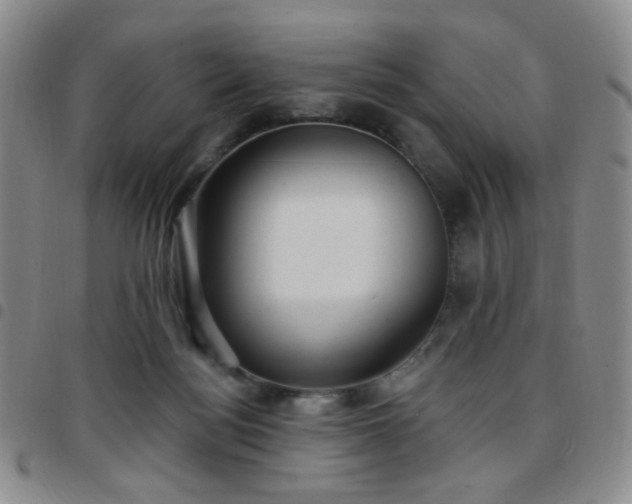 X0000097770172200803141753