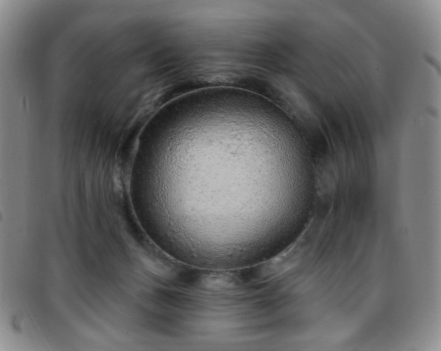 X0000097770175200803141753