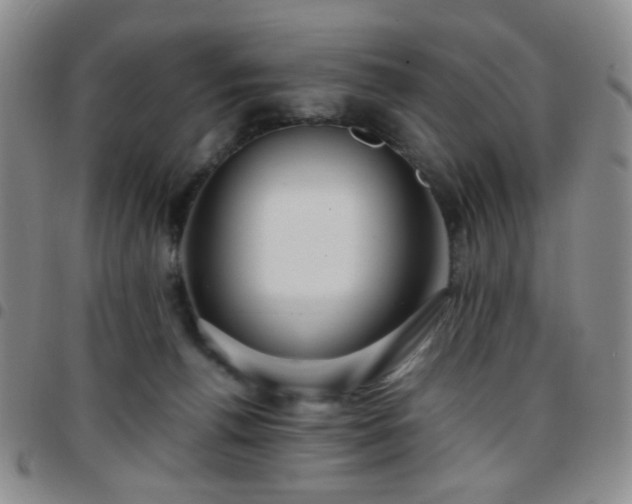 X0000097770176200803141753