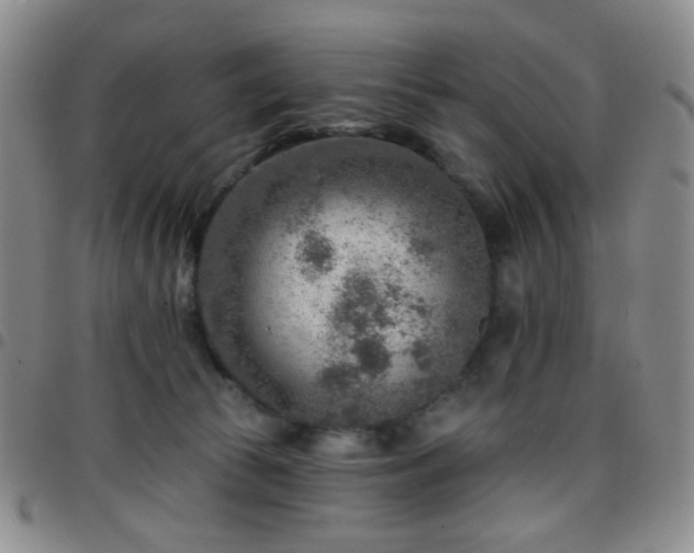 X0000097770177200803141753