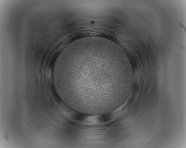 X0000097770178200803141753