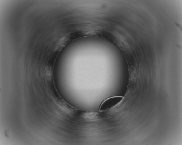 X0000097770179200803141753