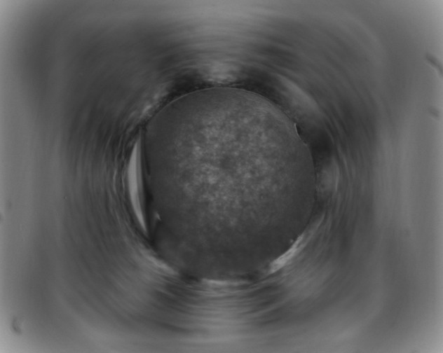 X0000097770180200803141753