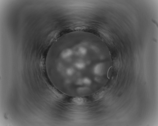X0000097770181200803141753