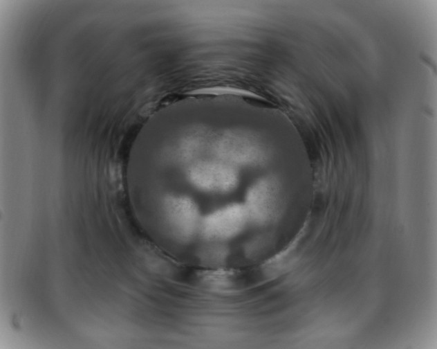 X0000097770182200803141753