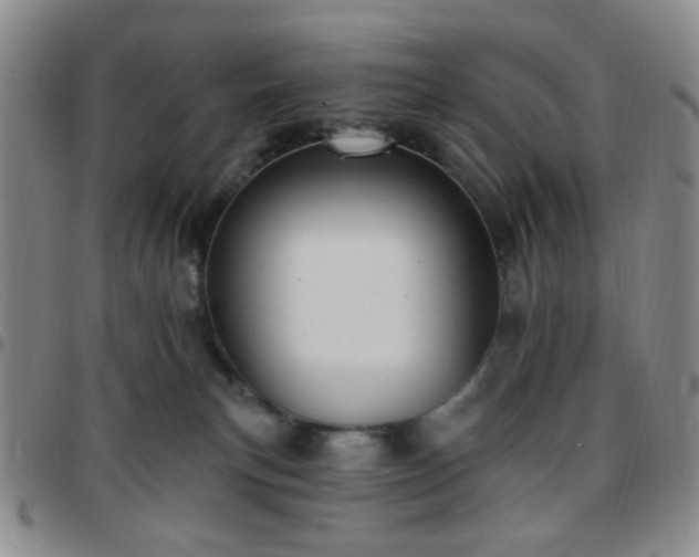 X0000097770183200803141753