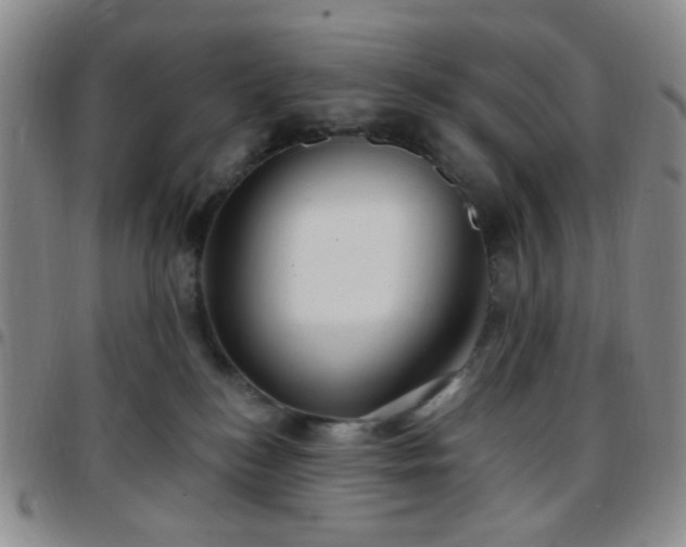 X0000097770184200803141753