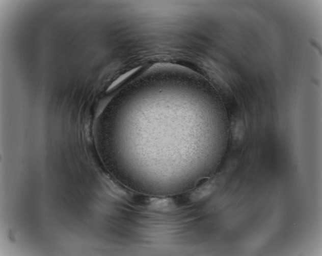 X0000097770185200803141753