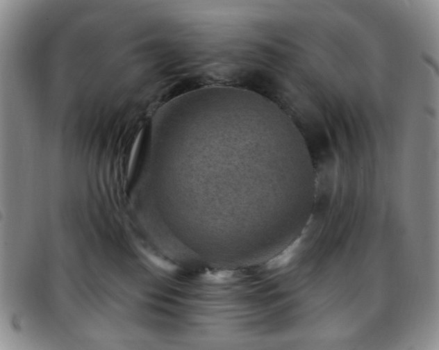 X0000097770186200803141753