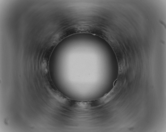 X0000097770187200803141753