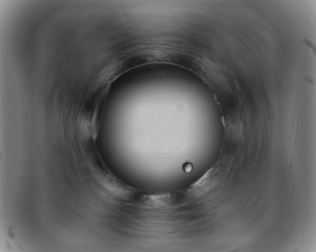 X0000097770188200803141753