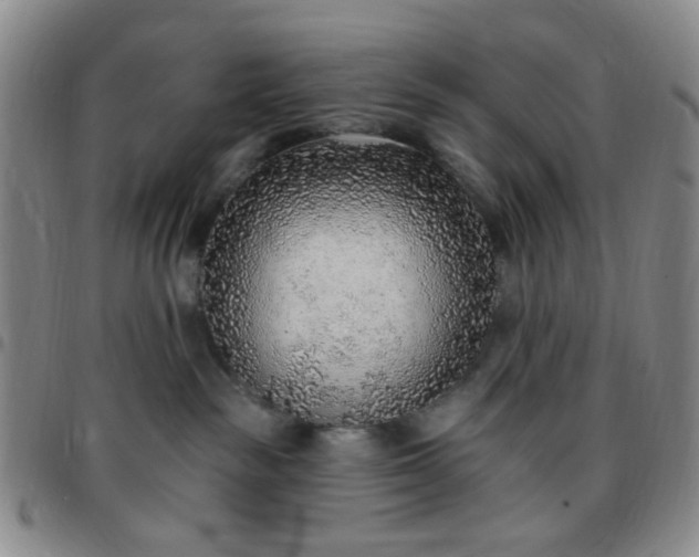 X0000097770189200803141753