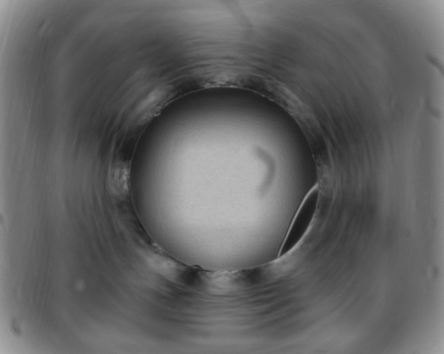 X0000097770191200803141753