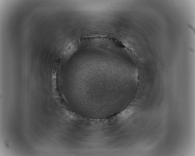 X0000097770192200803141753