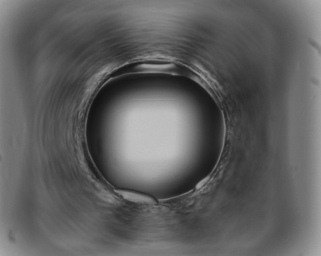 X0000097770193200803141753