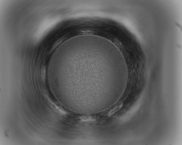 X0000097770194200803141753