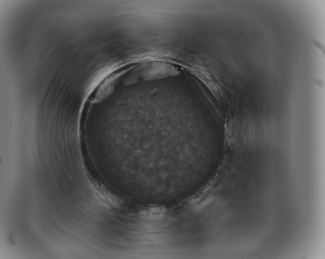 X0000097770196200803141753