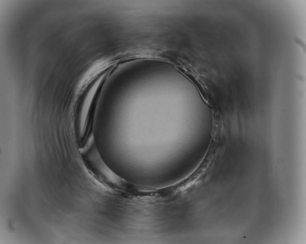 X0000097770197200803141753