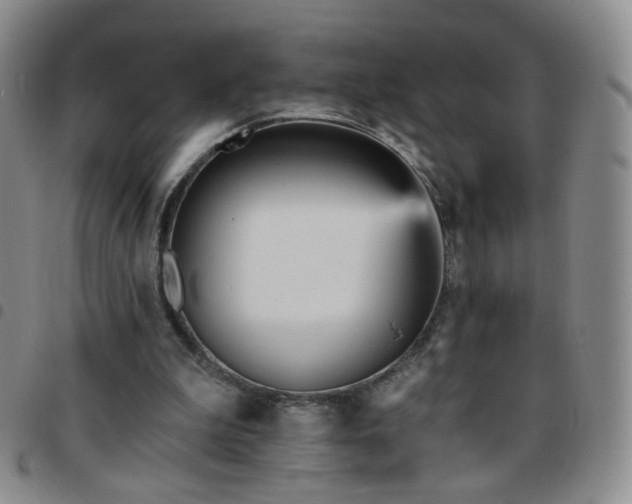 X0000097770199200803141753