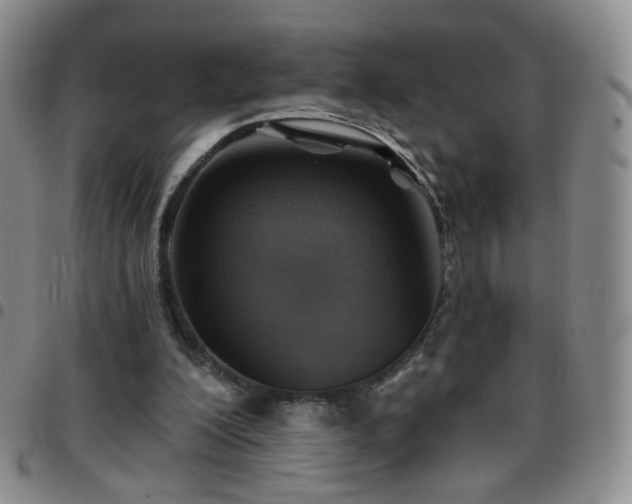 X0000097770200200803141753