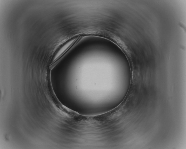 X0000097770201200803141753