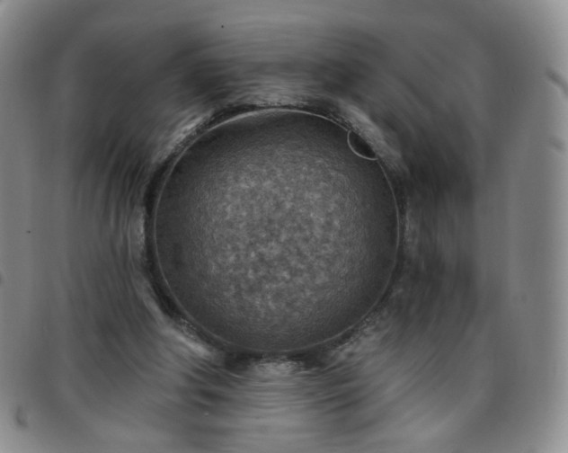 X0000097770202200803141753