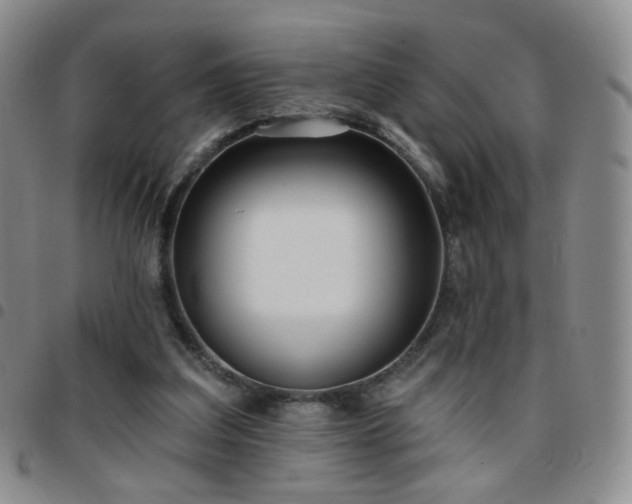 X0000097770203200803141753