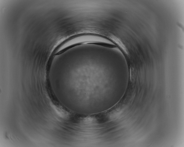 X0000097770204200803141753