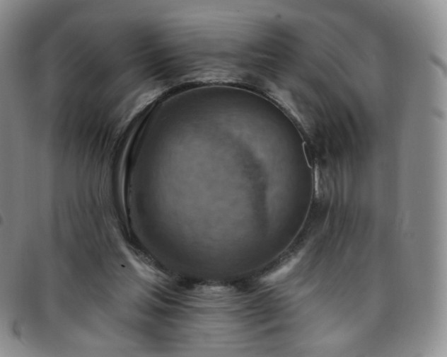 X0000097770205200803141753