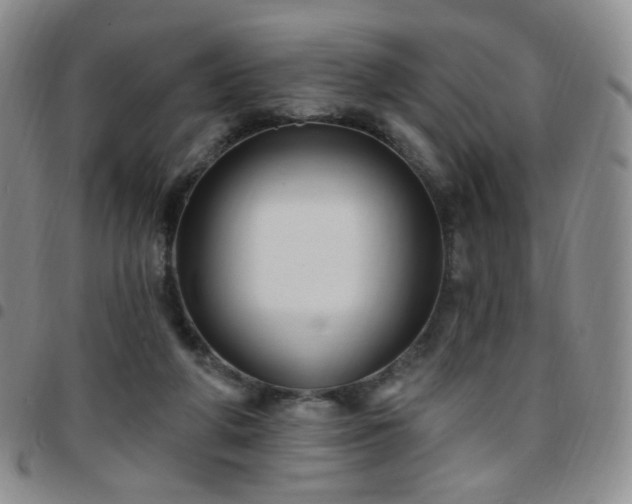 X0000097770210200803141752