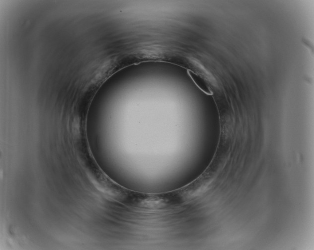 X0000097770213200803141752