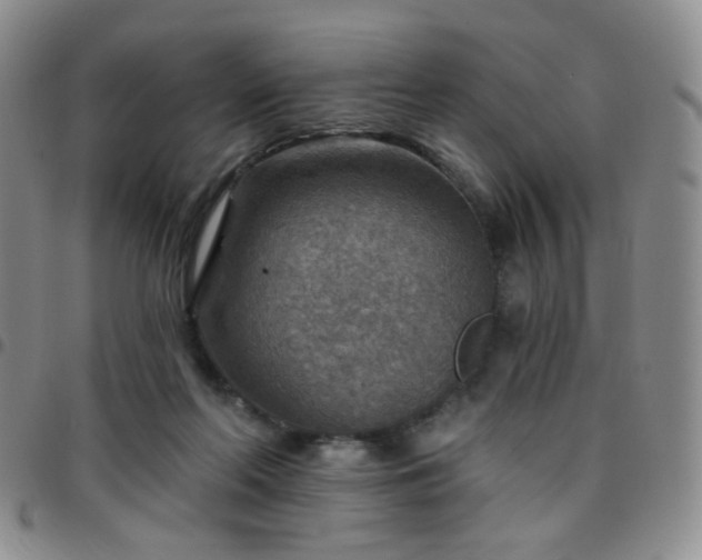 X0000097770214200803141752