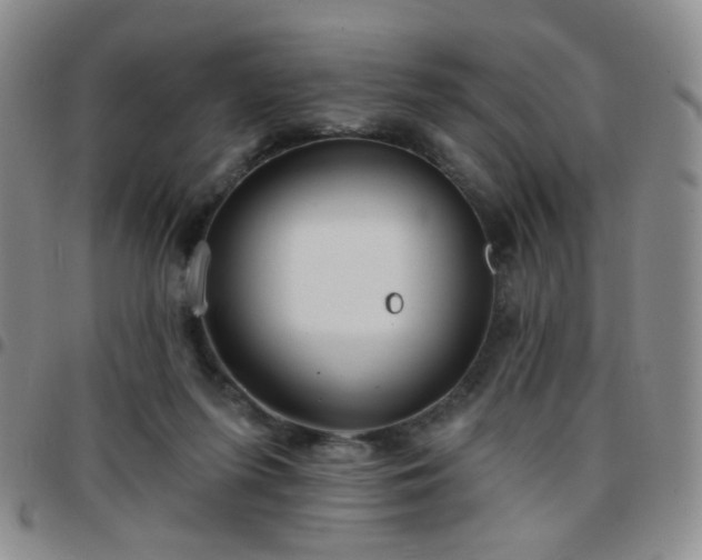 X0000097770215200803141752