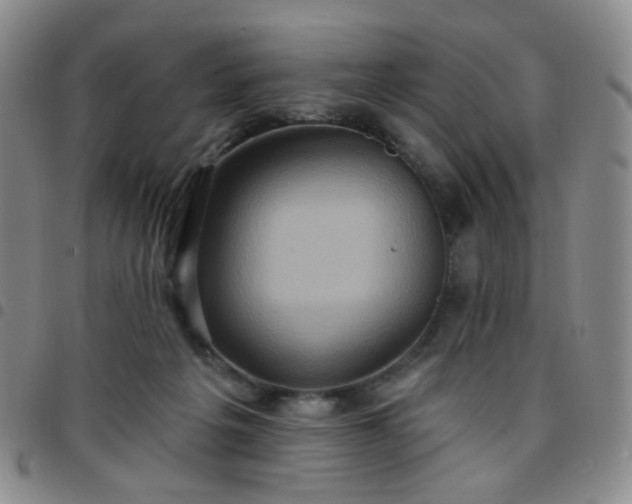 X0000097770217200803141752