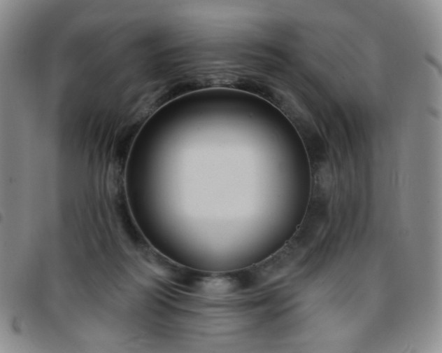 X0000097770218200803141752