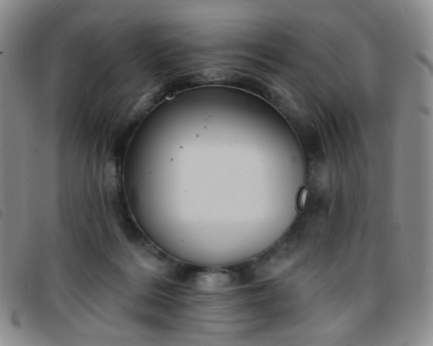 X0000097770220200803141752