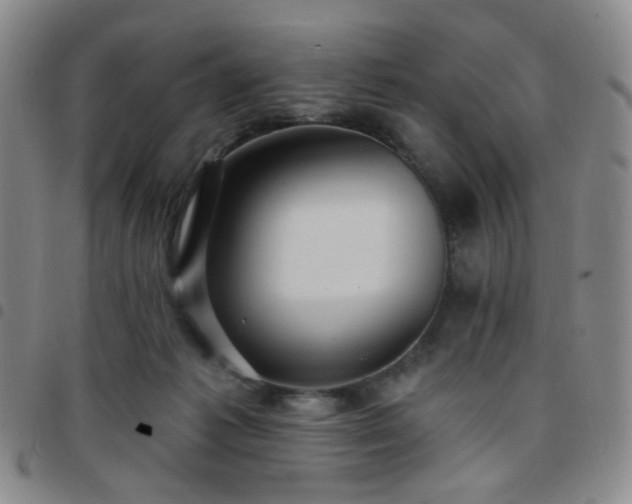 X0000097770221200803141752