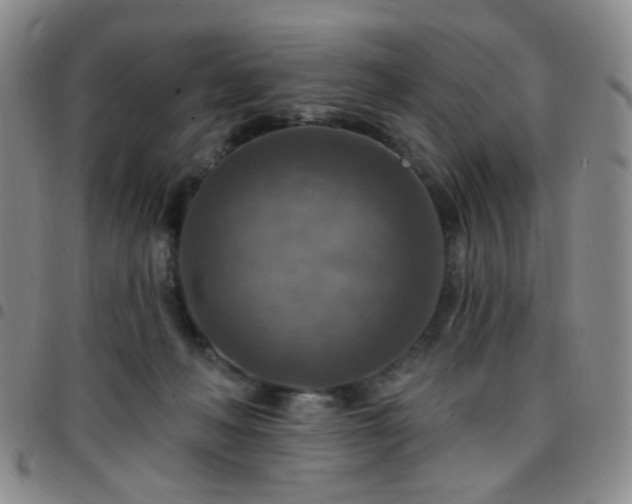 X0000097770222200803141752