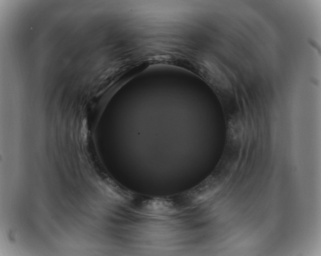 X0000097770223200803141752
