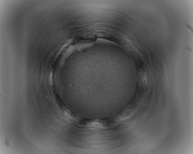 X0000097770224200803141752