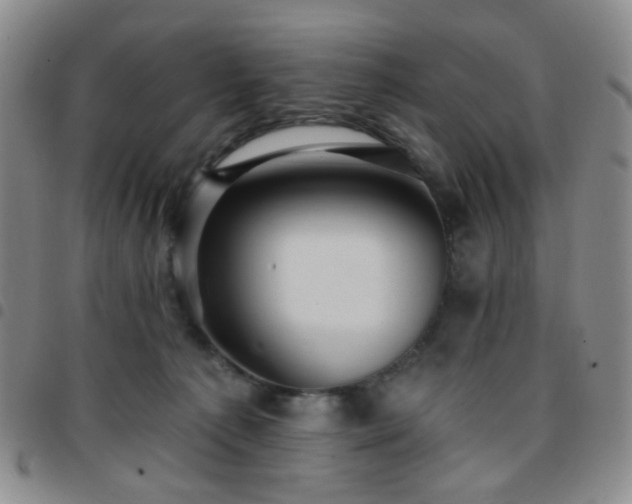 X0000097770225200803141752