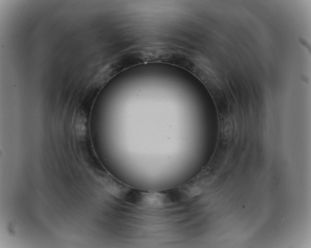 X0000097770226200803141752