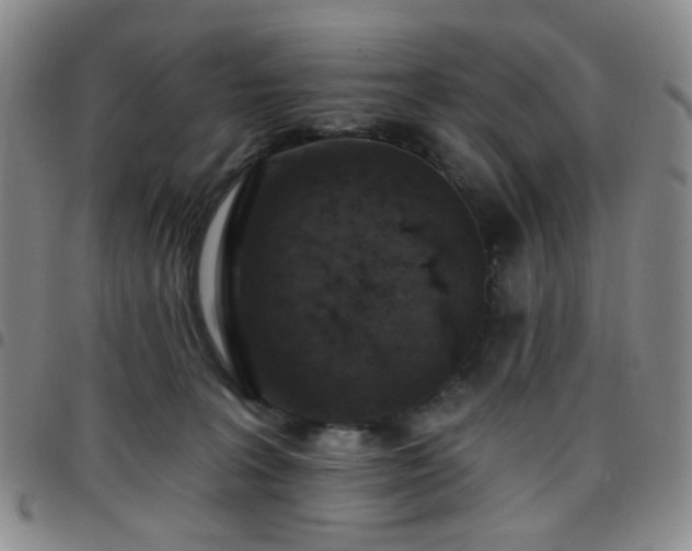 X0000097770227200803141752