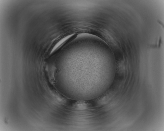 X0000097770228200803141752