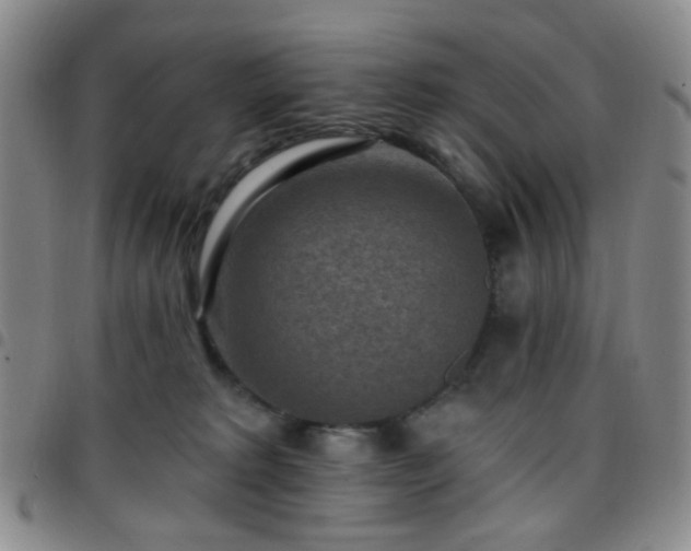 X0000097770229200803141752