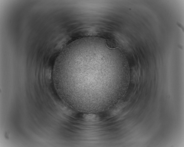 X0000097770230200803141752
