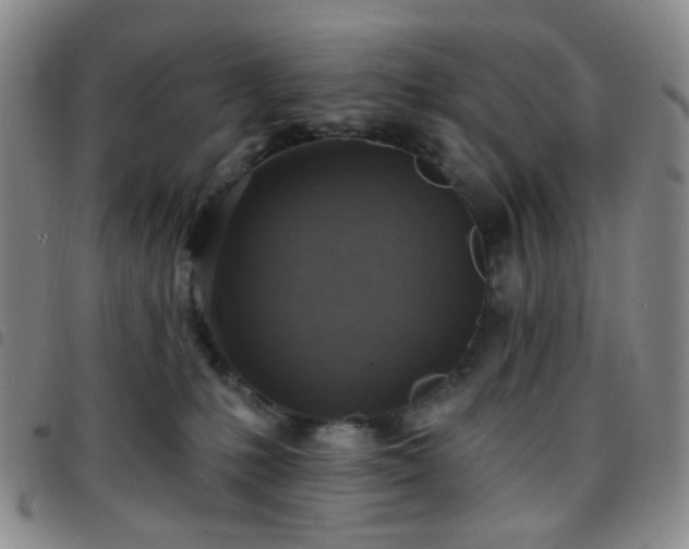 X0000097770231200803141752