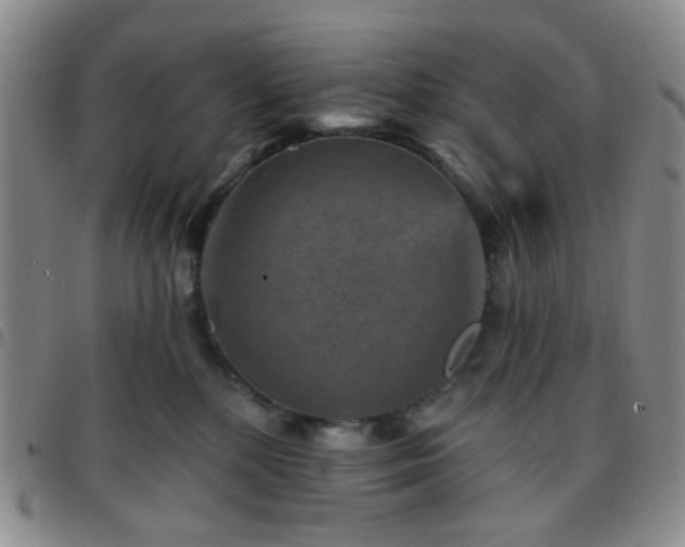 X0000097770232200803141752