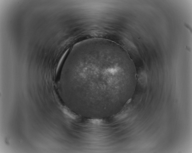 X0000097770233200803141752