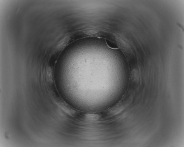 X0000097770234200803141752